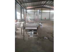 现货供应5000*600火龙果清洗机设备图2