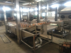 现货供应5000*800香菇气泡清洗机设备图3