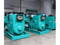 供甘肃柴油发电机组和兰州发电机报价图1