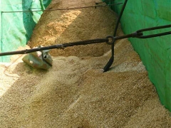 食用菌原料-杂木屑3图1