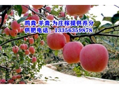 鸡粪,泰安鸡粪,淄博干鸡粪,济南纯鸡粪,潍坊稻壳鸡粪,干鸡粪