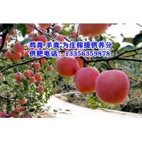 鸡粪,泰安鸡粪,淄博干鸡粪,济南纯鸡粪,潍坊稻壳鸡粪,干鸡粪