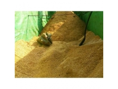 食用菌原料-杂木屑1图1