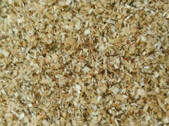 食用菌阔叶林杂木屑图1