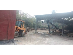 食用菌阔叶林杂木屑图1