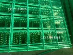 出菇网架出菇网片食用菌网架蘑菇网片图1