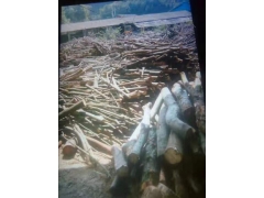 食用菌原料-杂木屑1图1