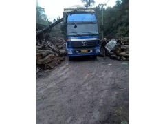 食用菌阔叶林杂木屑图1