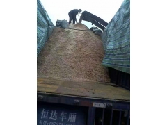 食用菌阔叶林杂木屑图1