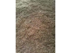 食用菌阔叶林杂木屑图1