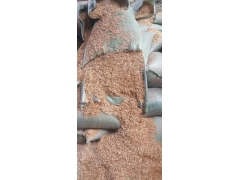 食用菌阔叶林杂木屑图1