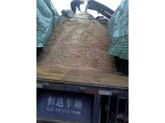 食用菌阔叶林杂木屑图1