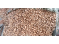 食用菌阔叶林杂木屑图1