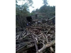 食用菌阔叶林杂木屑图1