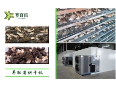 高温羊肚菌烘干设备价格图2