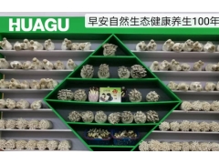 杏鲍菇，金针菇工厂化图1