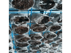 食用菌架 食用菌出菇架 食用菌网格图1