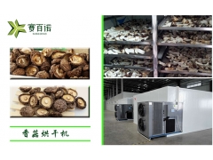 小型空气能香菇烘干箱图2