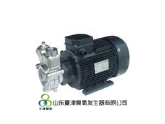 水处理气液混合泵不锈钢臭氧混合泵