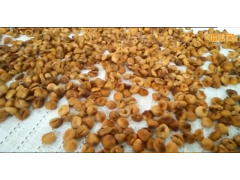 海产品微波烘干设备图1