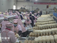 江蘇華綠：工廠化食用菌生產(chǎn)，帶動百姓就業(yè)增收 ()