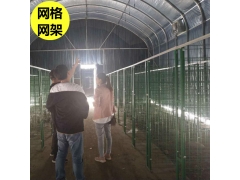 出菇网格网架出菇房网格秀珍菇铁丝网格网片图2