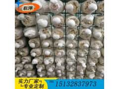 蘑菇出菇架厂家 定制杏鲍菇出菇网片 猴头菇出菇架图3