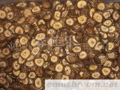 供应香菇,新季特选茶花菇,mushroom