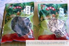 供應(yīng)野生食用菌-精裝松茸、黑虎掌干品