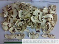 供应干蘑菇片