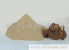 供应茶树菇粉(图)