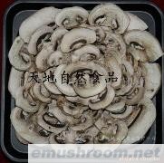 供应Dried Mushroom蘑菇(图)
