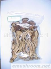 供应精品茶树菇系列