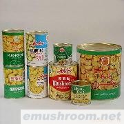 供应出口中东蘑菇类罐头(图)