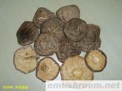 批发供应椴木香菇,大片薄菇，香菇