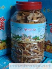 供應(yīng)清水食用菌系列、鹽漬菇系列