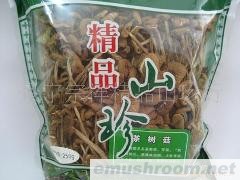 批发供应优质茶树菇（一级）
