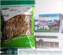 供应 食用菌 方便食品 茶树菇