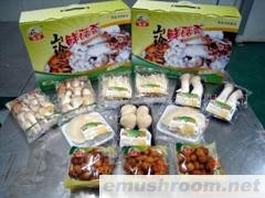 批发供应秀珍菇，食用菌，鲜菇礼盒1箱起批(图)