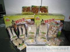 批发供应蘑菇，食用菌，土特产礼盒1箱起批(图)