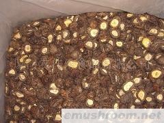 供应香菇,mushroom，平足黑面菇，3-4cm