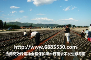 亿昌增抗剂(速效灭菌剂)和高效绿霉净被科技和农业推广部门列为重点推广产品