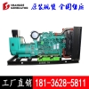 辽宁盘锦柴油发电机组200kwYC6M350L-D20